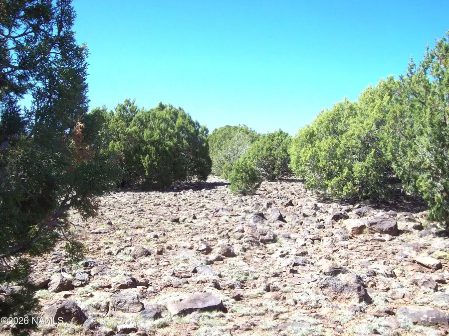 000 Vista Larga Road, Williams, AZ 86046 - #3