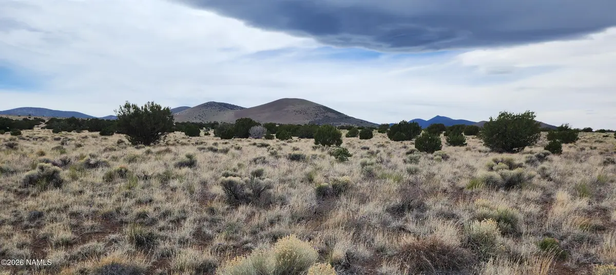 30342036-C Alpine Ranches, Flagstaff, AZ 86004 - #1