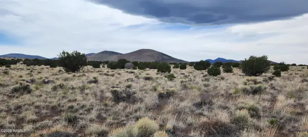 30342036-C Alpine Ranches, Flagstaff, AZ 86004