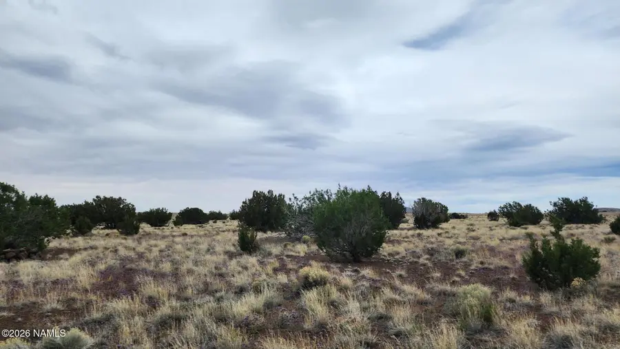 30342036-C Alpine Ranches, Flagstaff, AZ 86004 - #2