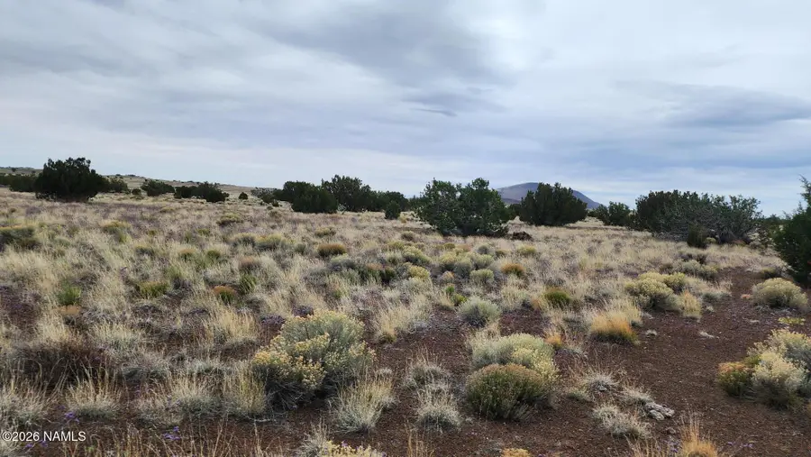 30342036-C Alpine Ranches, Flagstaff, AZ 86004 - #3