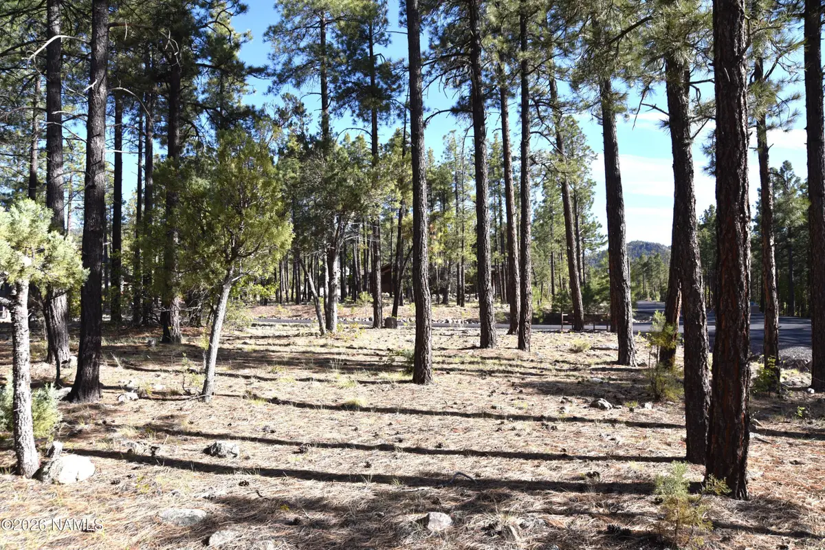 1085 Timbernook, Williams, AZ 86046 - #1