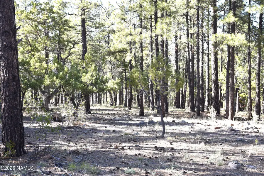 1085 Timbernook, Williams, AZ 86046 - #3