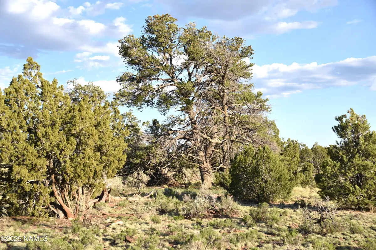 3391 E Indian Meadows Road, Williams, AZ 86046 - #1