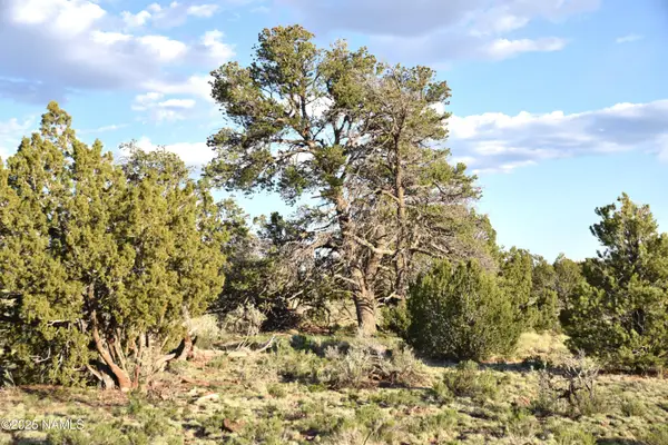 3391 E Indian Meadows Road, Williams, AZ 86046