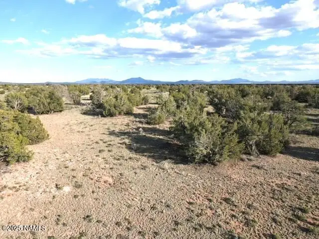 3391 E Indian Meadows Road, Williams, AZ 86046 - #2