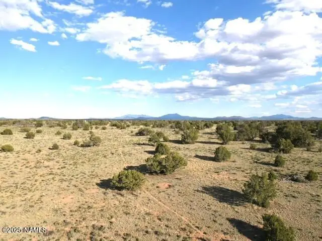 3391 E Indian Meadows Road, Williams, AZ 86046 - #3