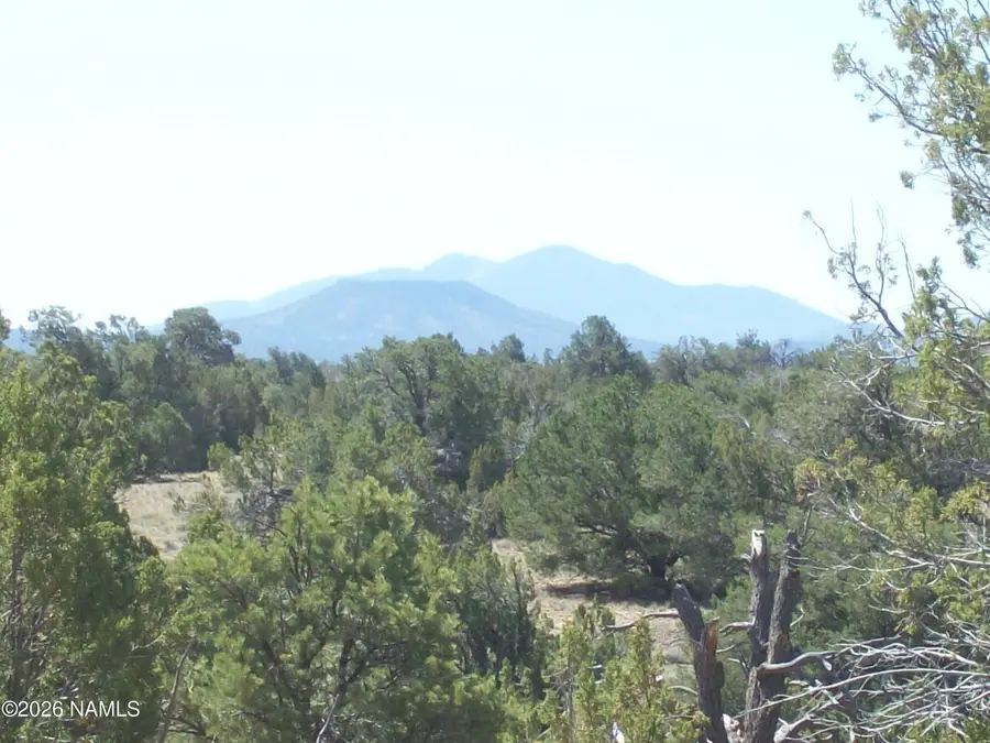 1432 S Kaibab Road, Williams, AZ 86046 - #3
