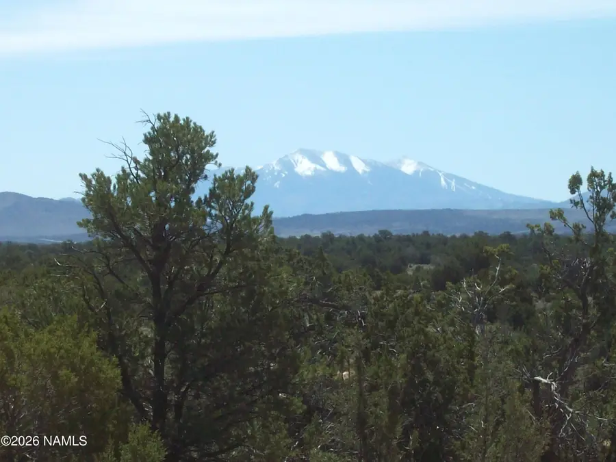 1650 S Kaibab Road, Williams, AZ 86046 - #3