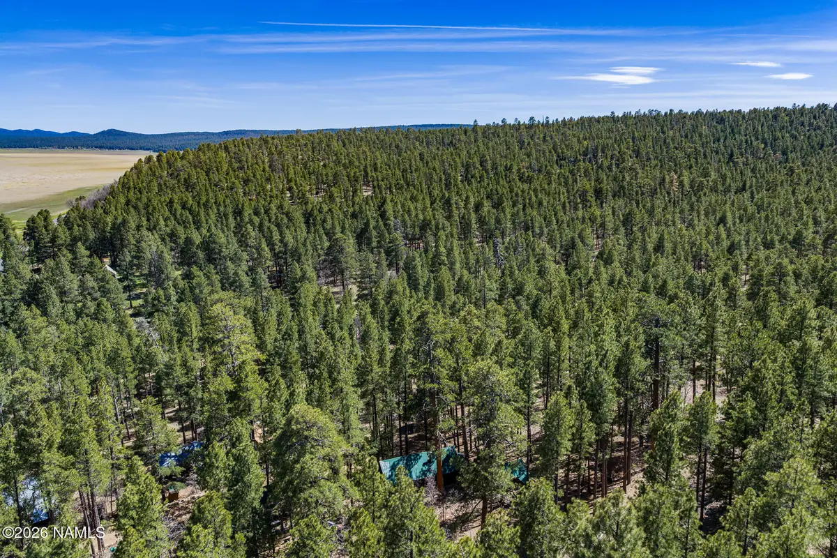 6248 Dairy Lane, Mormon Lake, AZ 86038 - #1