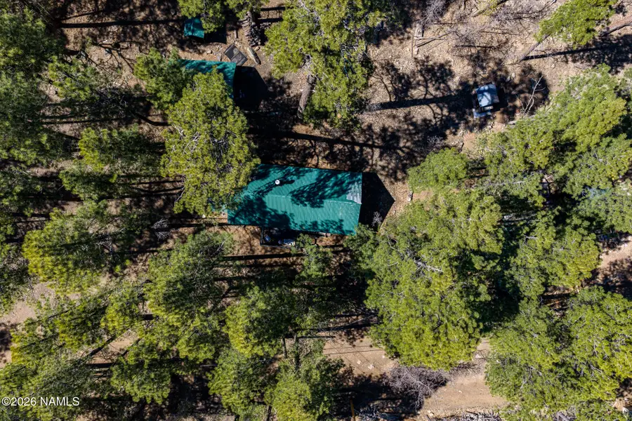 6248 Dairy Lane, Mormon Lake, AZ 86038 - #3
