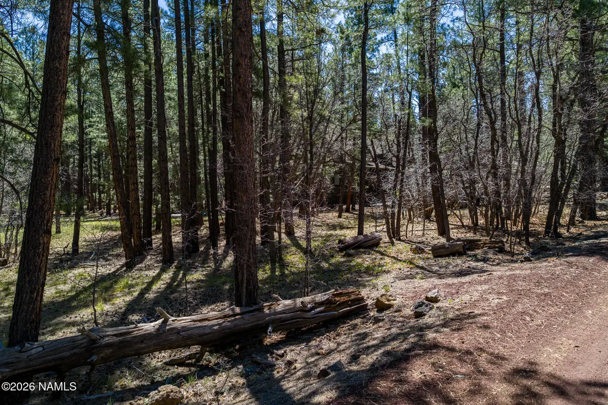 29 Sandige Lane, Mormon Lake, AZ 86038 - #1
