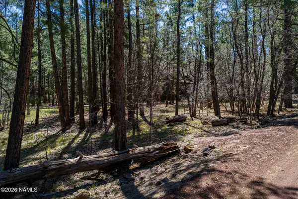 29 Sandige Lane, Mormon Lake, AZ 86038