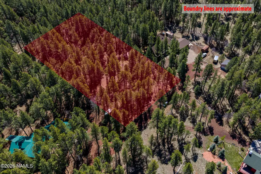 29 Sandige Lane, Mormon Lake, AZ 86038 - #3