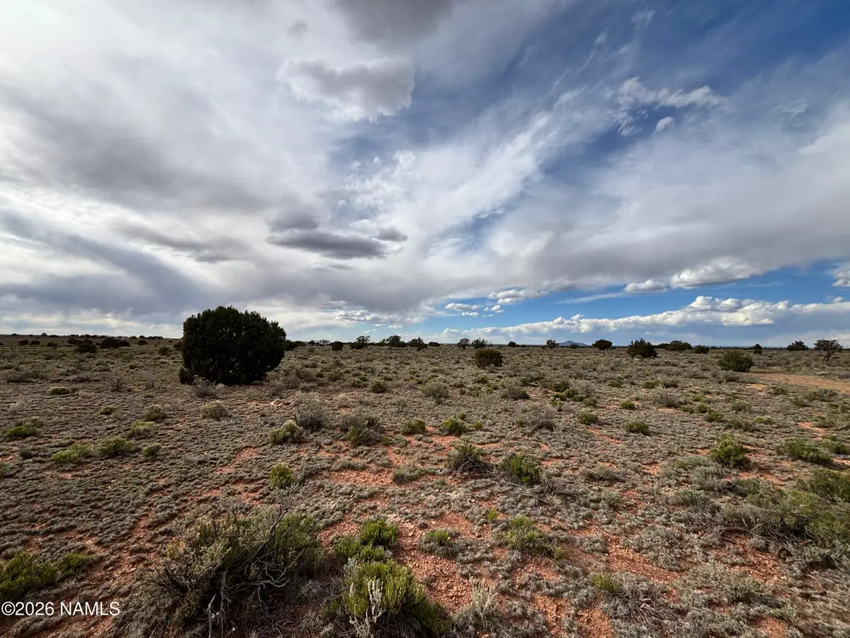 2140 S Arroyo Drive, Williams, AZ 86046 - #1
