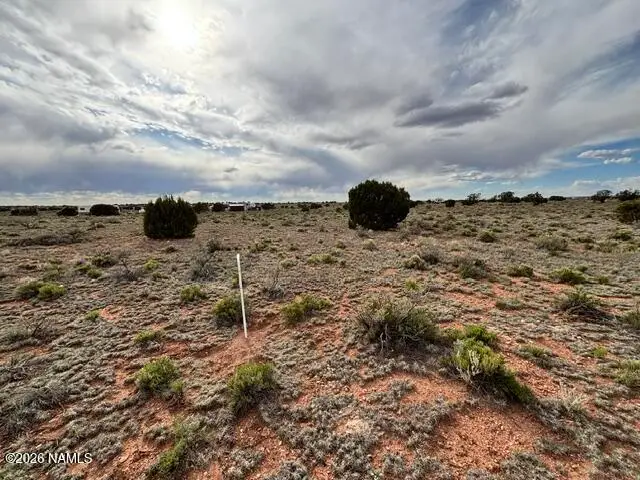 2140 S Arroyo Drive, Williams, AZ 86046 - #2