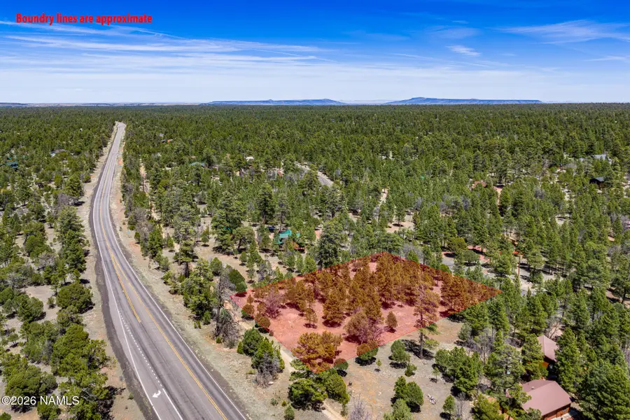 2118 Saddle Blanket Road, Happy Jack, AZ 86024 - #3