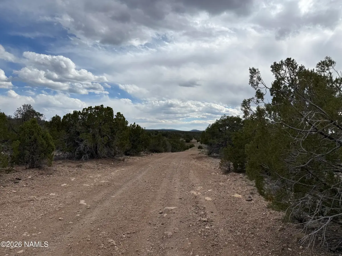 12581 N Chino Road, Williams, AZ 86046 - #1