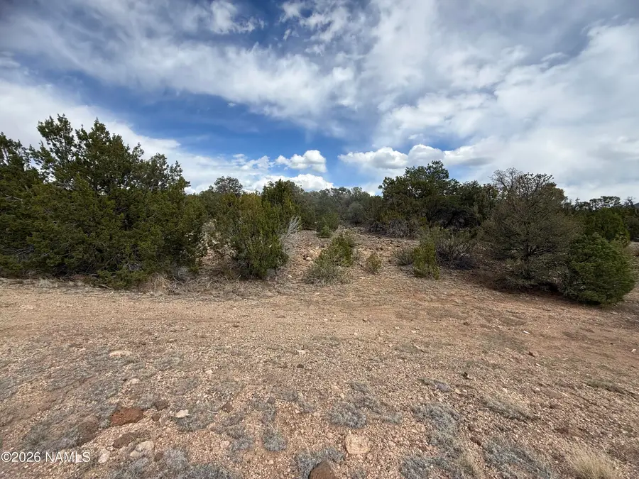 12581 N Chino Road, Williams, AZ 86046 - #3