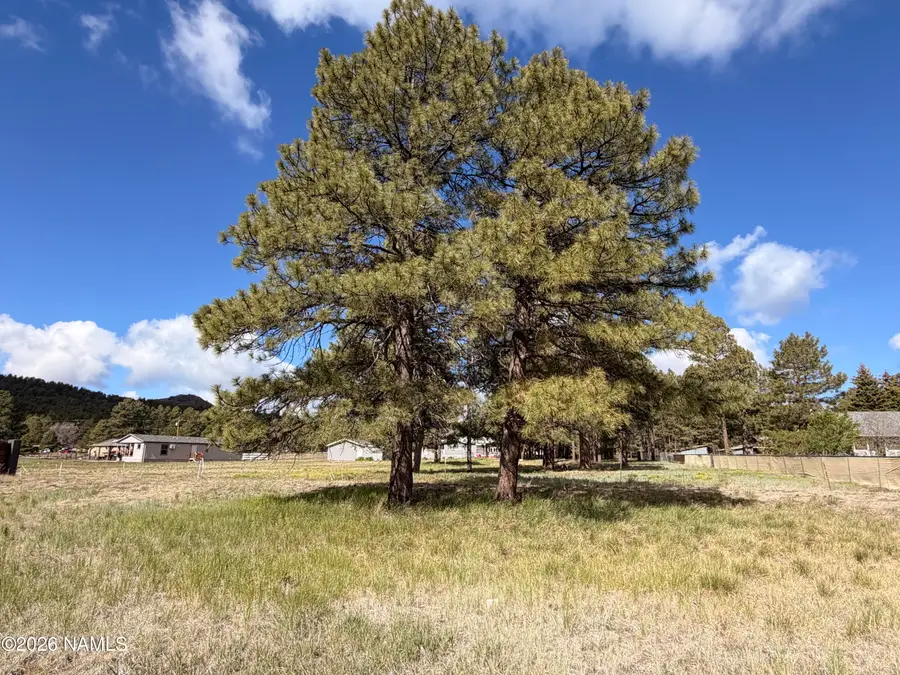 142 Anthem Drive, Williams, AZ 86046 - #3