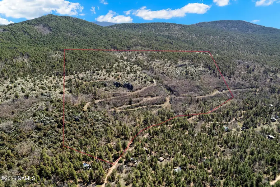18 Ponderosa Drive, Mormon Lake, AZ 86038 - #2