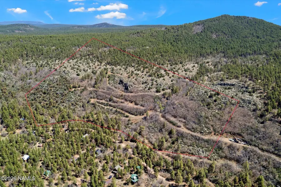 18 Ponderosa Drive, Mormon Lake, AZ 86038 - #3