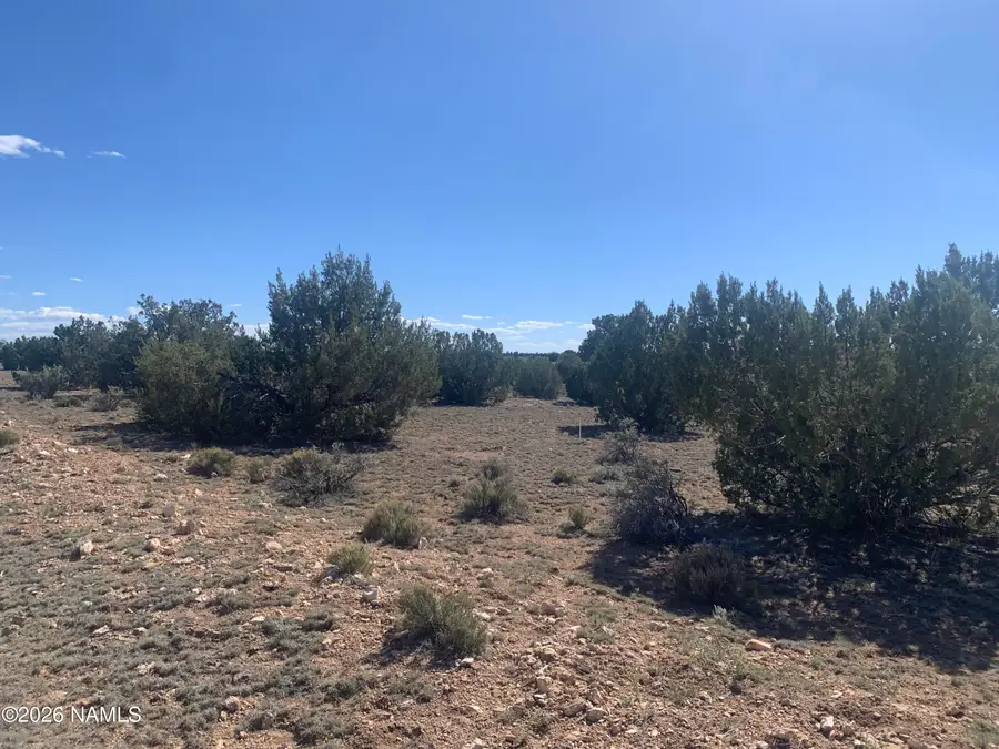 8962 W Cloud Cover Way, Williams, AZ 86046 - #2