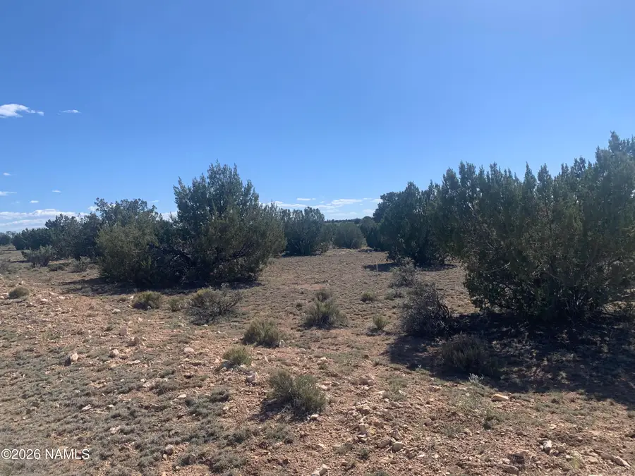 8962 W Cloud Cover Way, Williams, AZ 86046 - #3