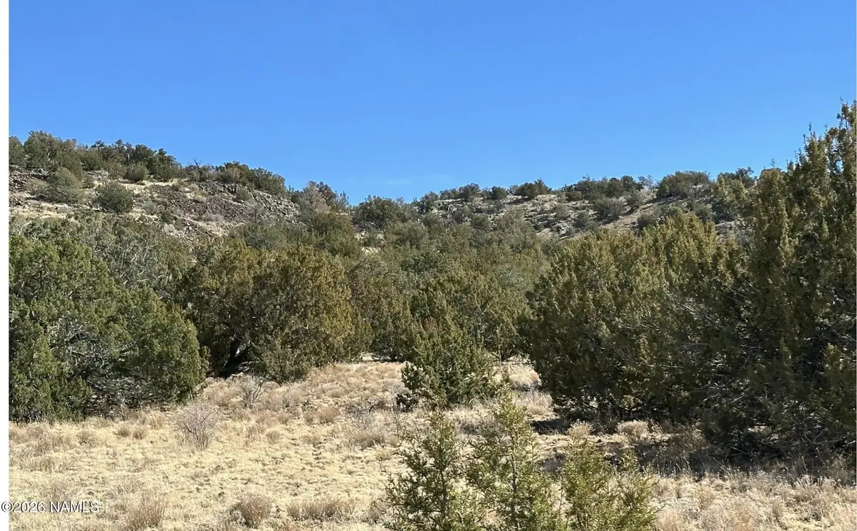 11646 Howard Mesa Loop, Williams, AZ 86046 - #1