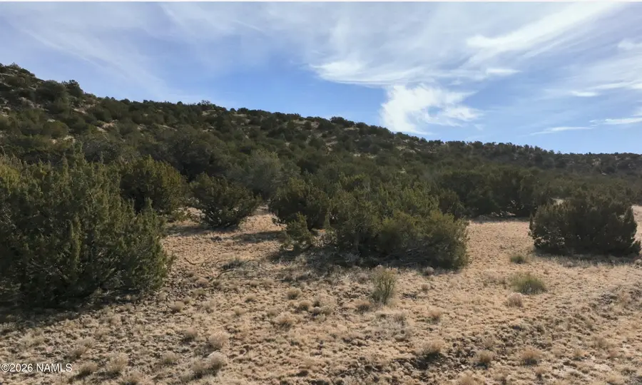 11646 Howard Mesa Loop, Williams, AZ 86046 - #3