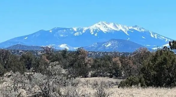 3864 Mohave Trail, Williams, AZ 86046 - #1