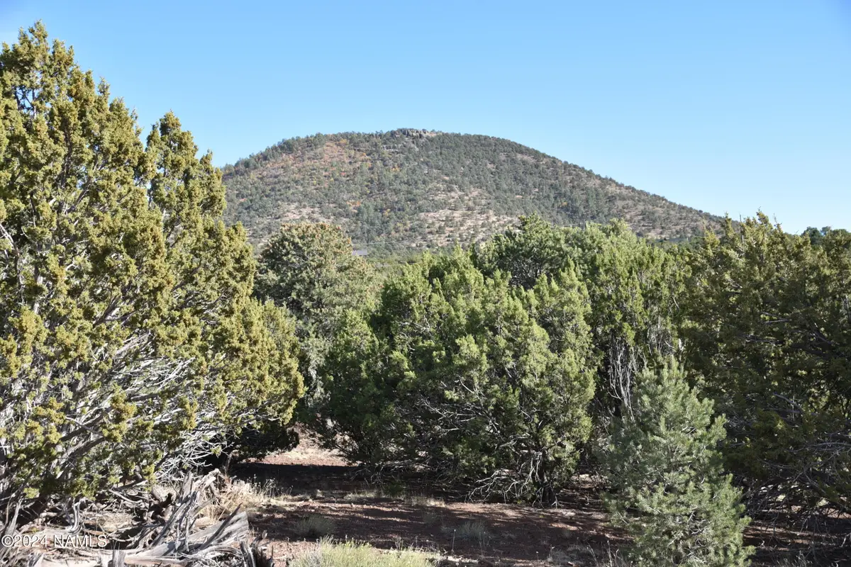 2394 E Clear Point Way, Williams, AZ 86046 - #1