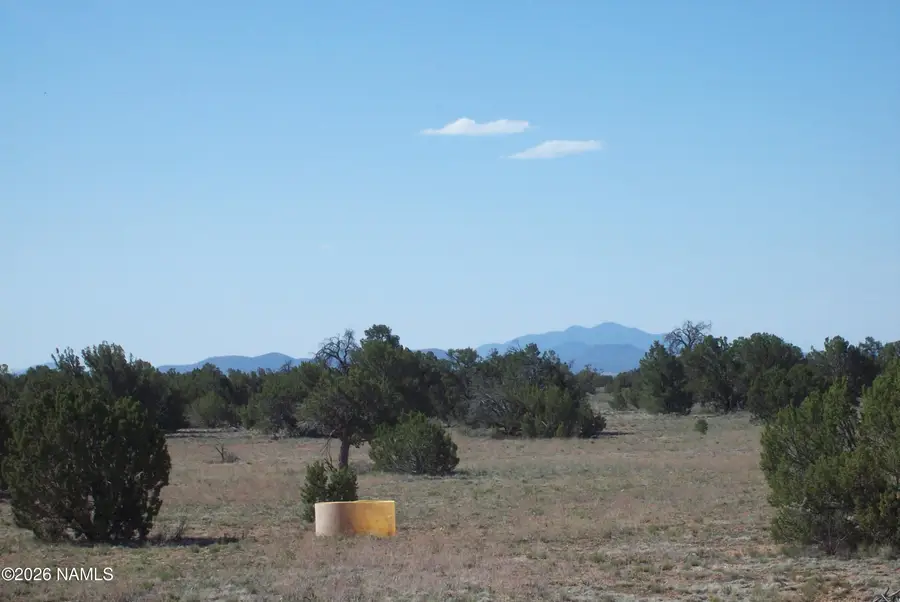 4063 E Woodland Ranch Road, Williams, AZ 86046 - #3
