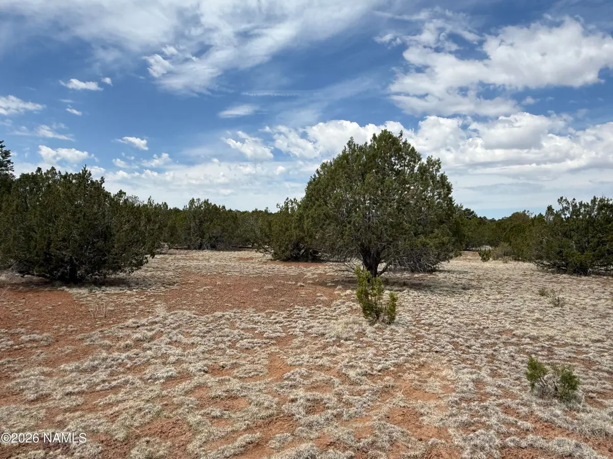 12852 N Sentinel Road, Williams, AZ 86046 - #1