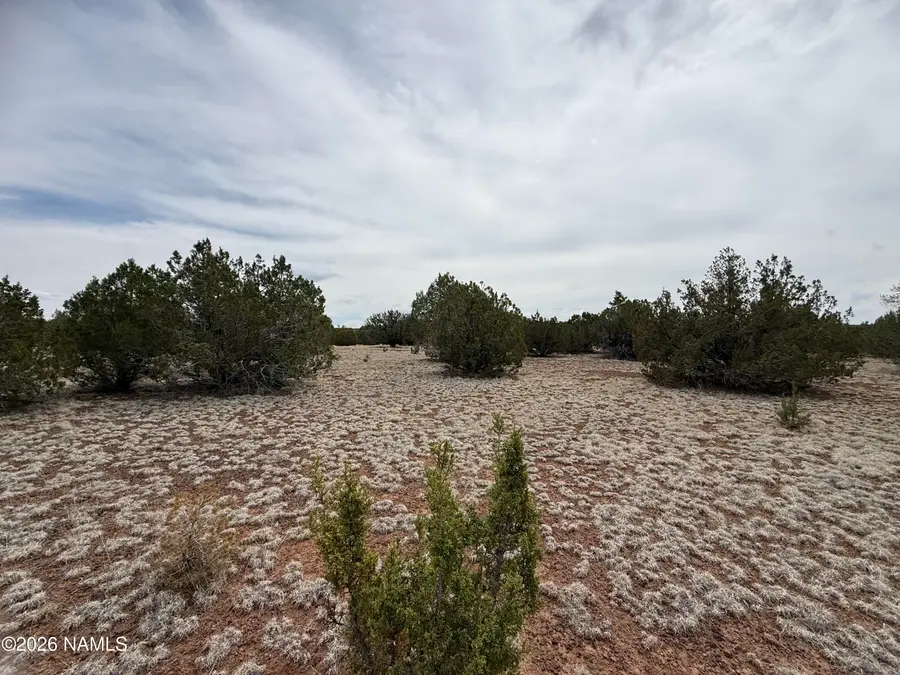 12852 N Sentinel Road, Williams, AZ 86046 - #2