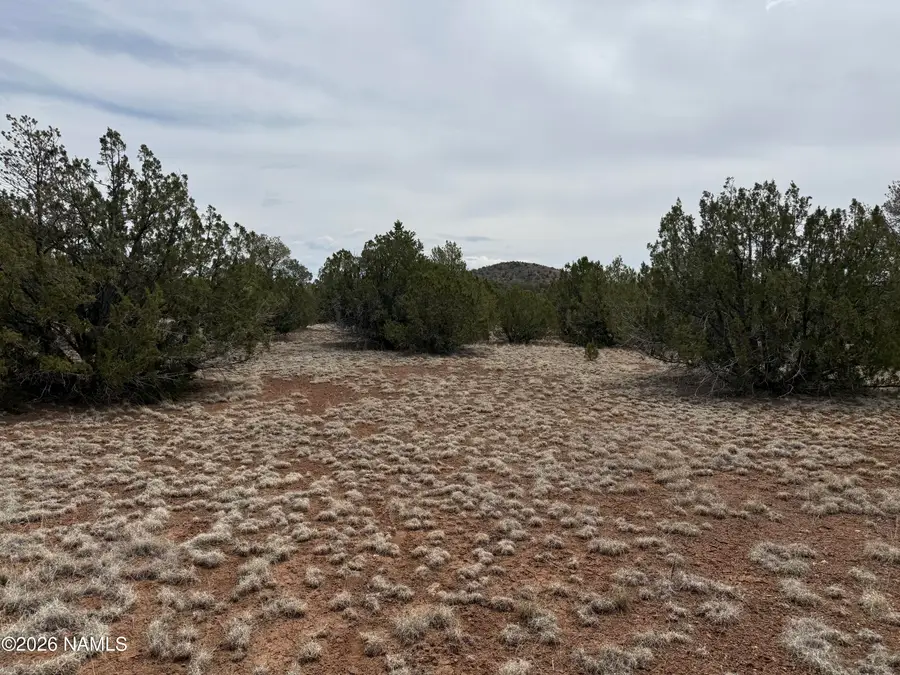 12852 N Sentinel Road, Williams, AZ 86046 - #3