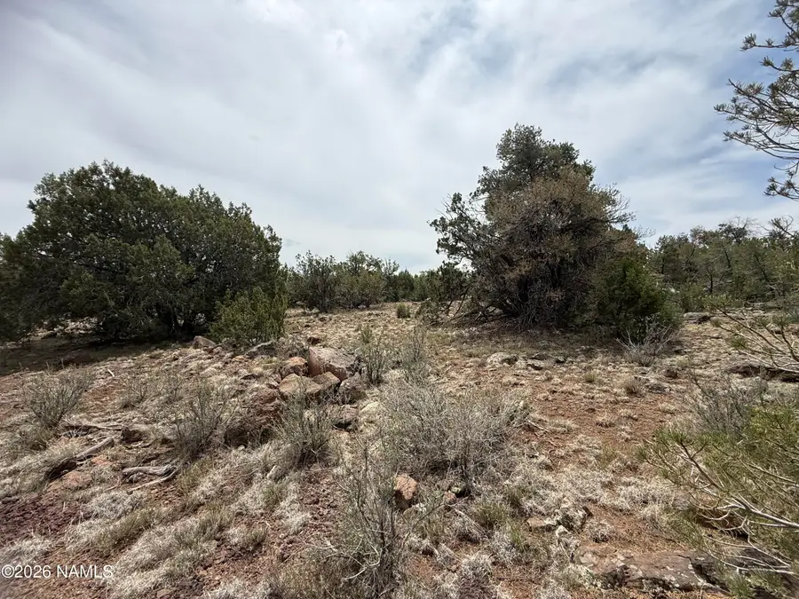 732 E Sidewinder Road, Williams, AZ 86046 - #3
