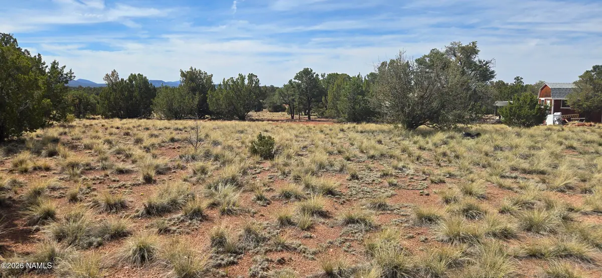 3730 S Canyon Vista Road, Williams, AZ 86046 - #1