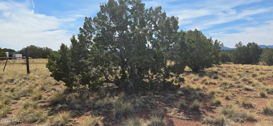 3730 S Canyon Vista Road, Williams, AZ 86046 - #2