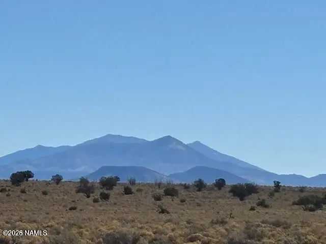 6687 S Prairie Grass Lane, Williams, AZ 86046 - #1