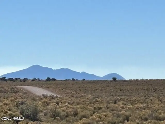 6687 S Prairie Grass Lane, Williams, AZ 86046 - #2