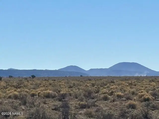 6687 S Prairie Grass Lane, Williams, AZ 86046 - #3