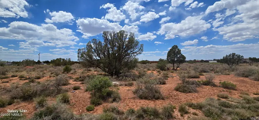 1042 E Laramie Drive, Williams, AZ 86046 - #3