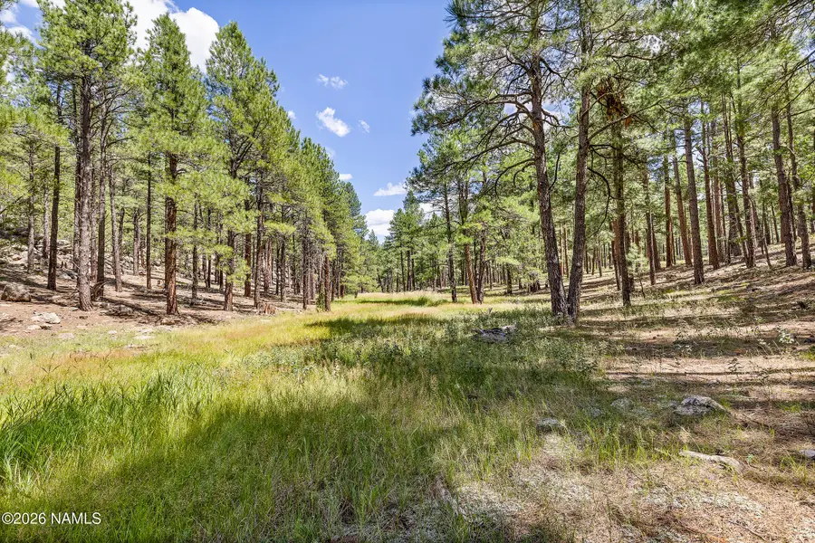 3456 Laurie Lane, Flagstaff, AZ 86005 - #2