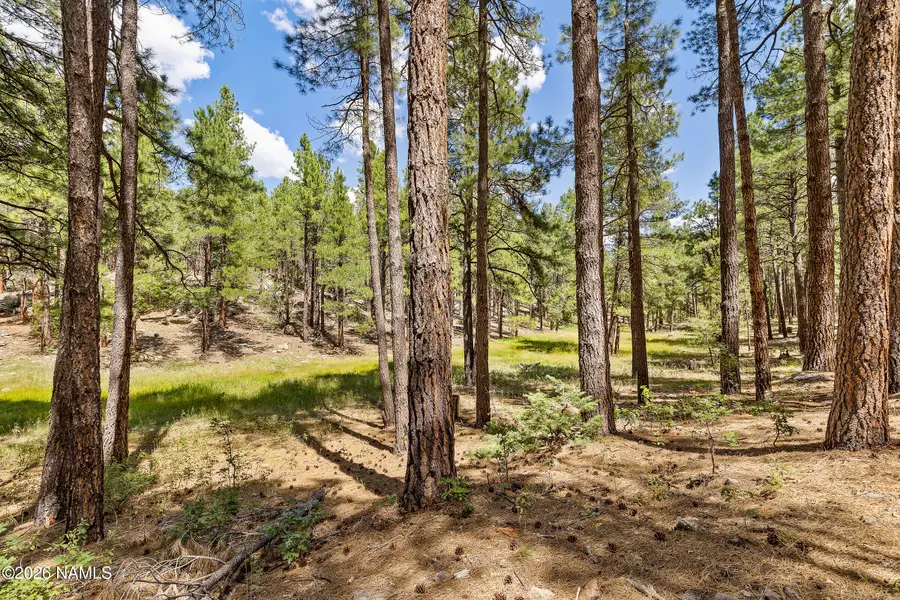 3456 Laurie Lane, Flagstaff, AZ 86005 - #3