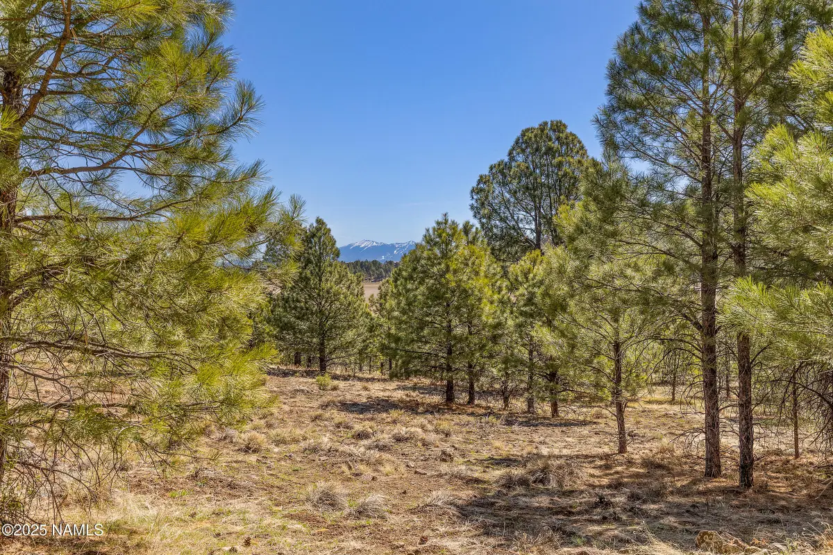 747 N Davenport Lk Road, Williams, AZ 86046 - #1