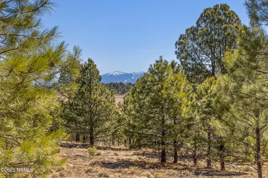 747 N Davenport Lk Road, Williams, AZ 86046 - #2