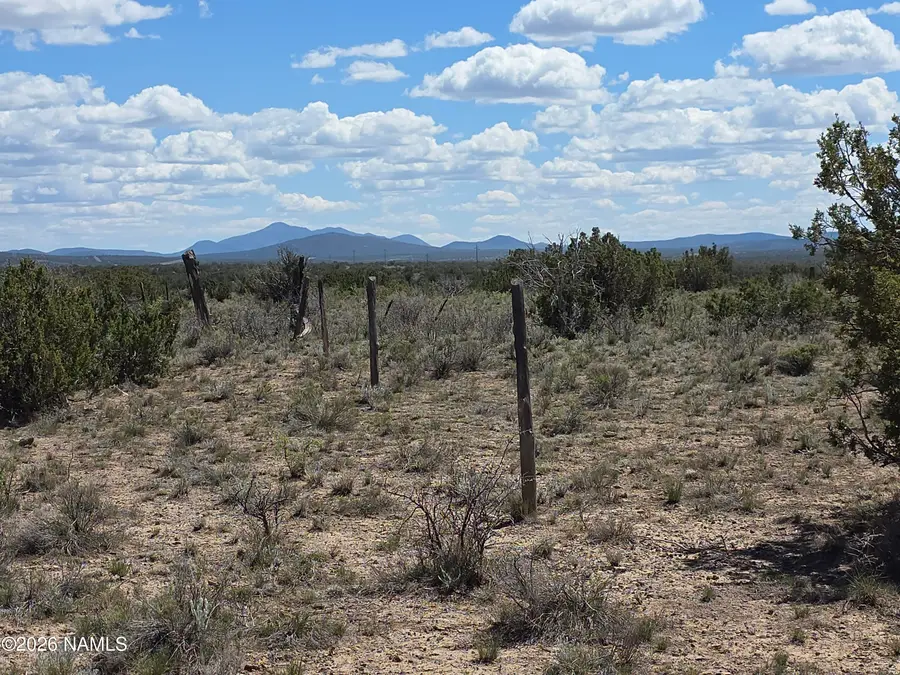 11718 S Blackbird Way, Williams, AZ 86046 - #2