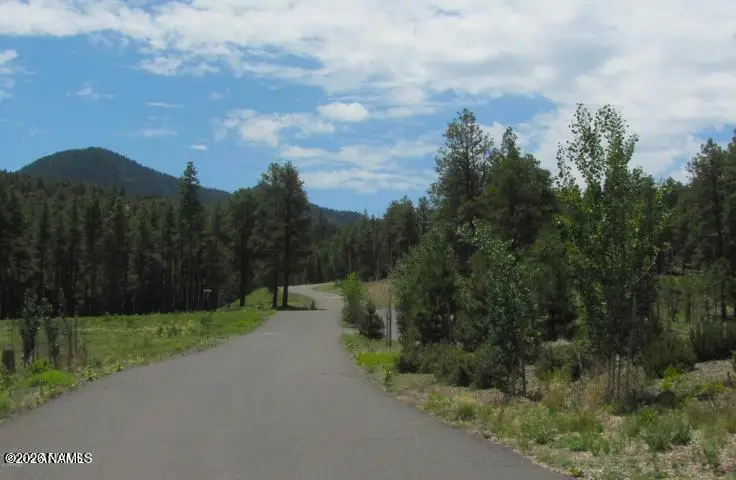 1021 Stone Hollow Loop, Williams, AZ 86046 - #1