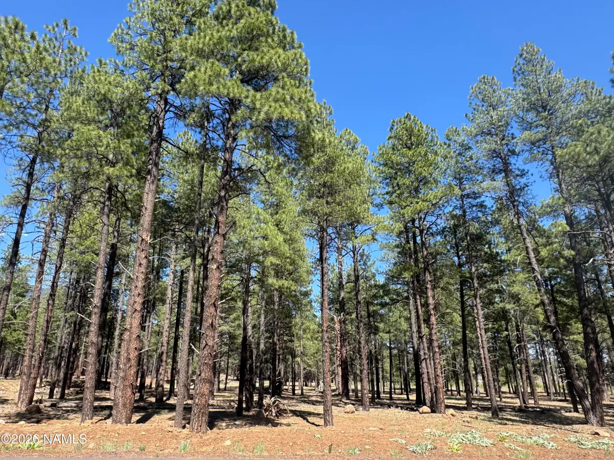 9615 Ranch At The Peaks Way, Flagstaff, AZ 86001 - #1
